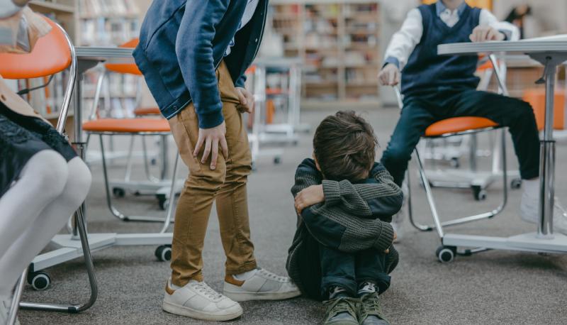 Verona, 12enne bullizza il compagno di classe disabile, promosso con 9 in condotta