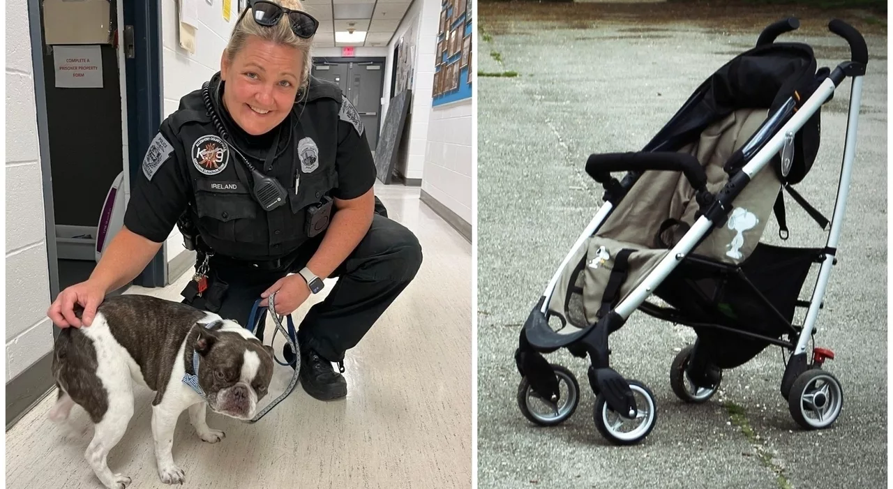 Abbandona il cane in un passeggino all’aeroporto prima di andare in vacanza, i duri commenti sul web «Il karma saprà punirti»