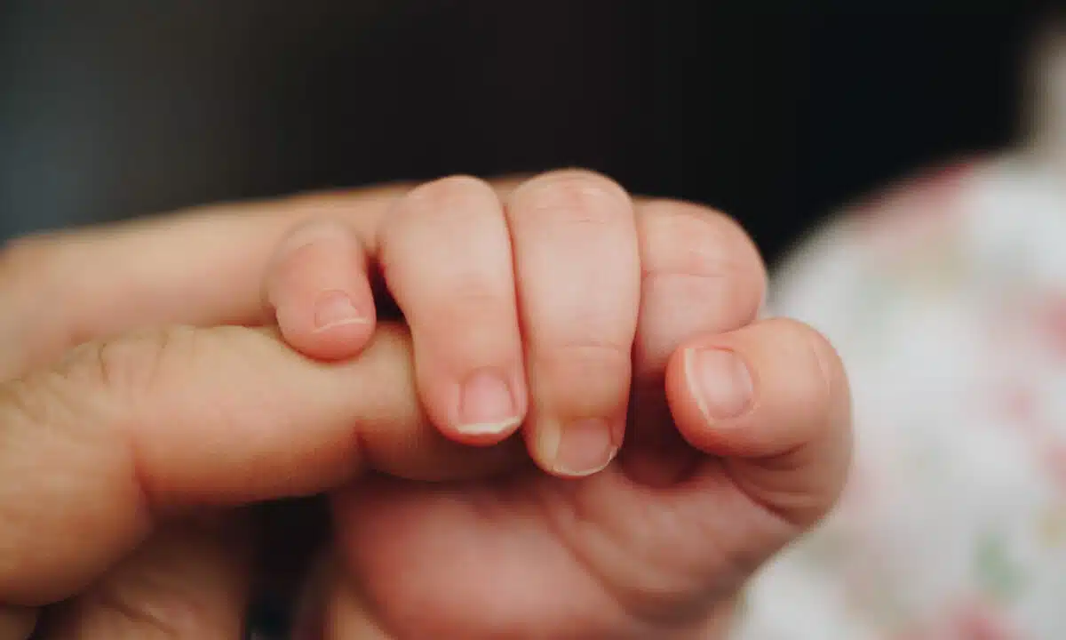 Una battaglia legale si svolge intorno al destino del piccolo Miele, un bambino di tre anni a rischio di essere strappato ai genitori affidatari.