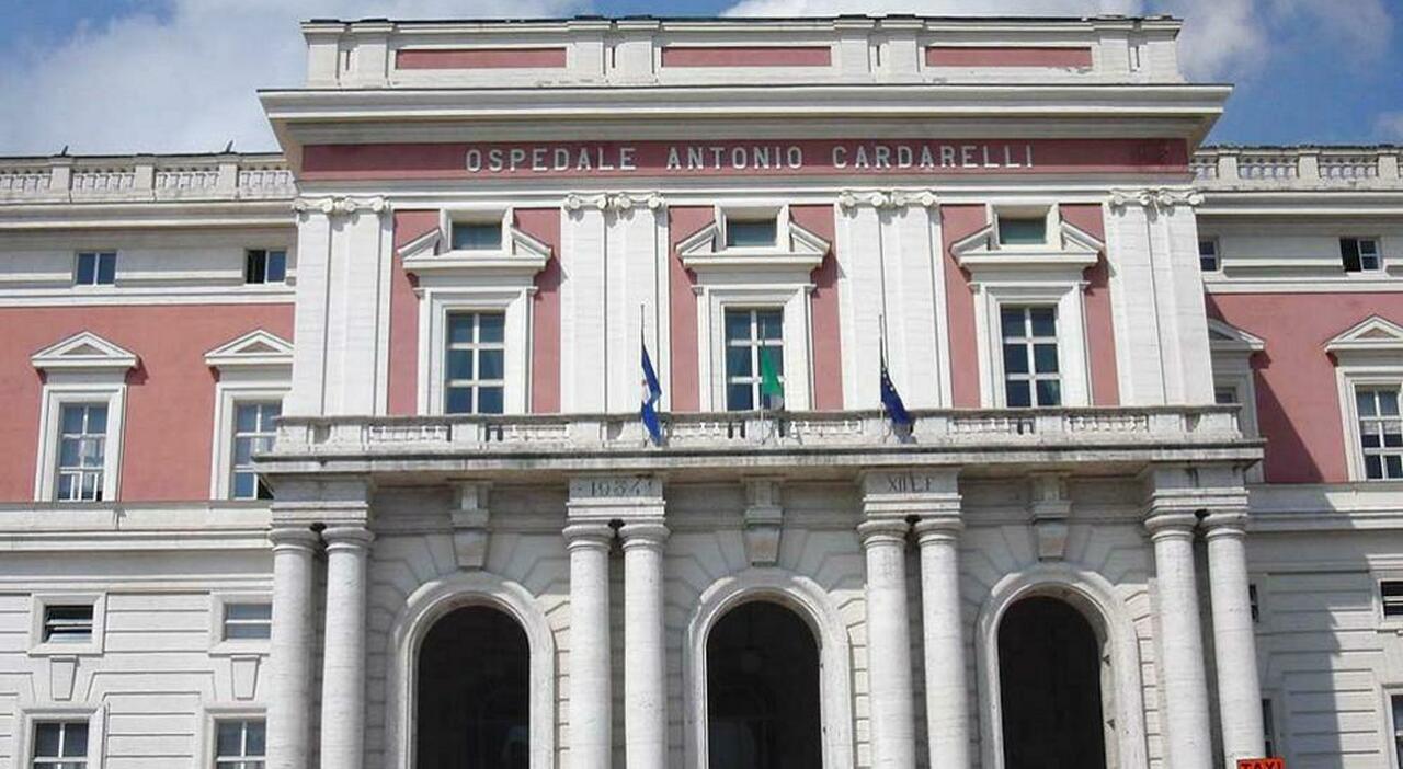 All'Ospedale Cardarelli di Napoli, si registrano oltre 20 chiamate giornaliere per sospetti morsi da ragno violino, spesso ingiustificati.