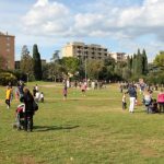 Tre ragazzini in bicicletta elettrica avrebbero aggredito coetanei nel parco. Una vittima è finita in ospedale. Residenti preoccupati.