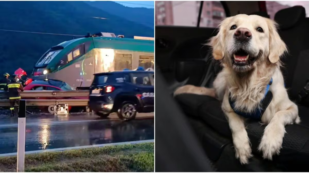 Un’auto è rimasta incastrata tra le sbarre di un passaggio a livello a Villa di Tirano, Sondrio. I passeggeri sono fuggiti in tempo, ma il loro cagnolino non ce l'ha fatta.