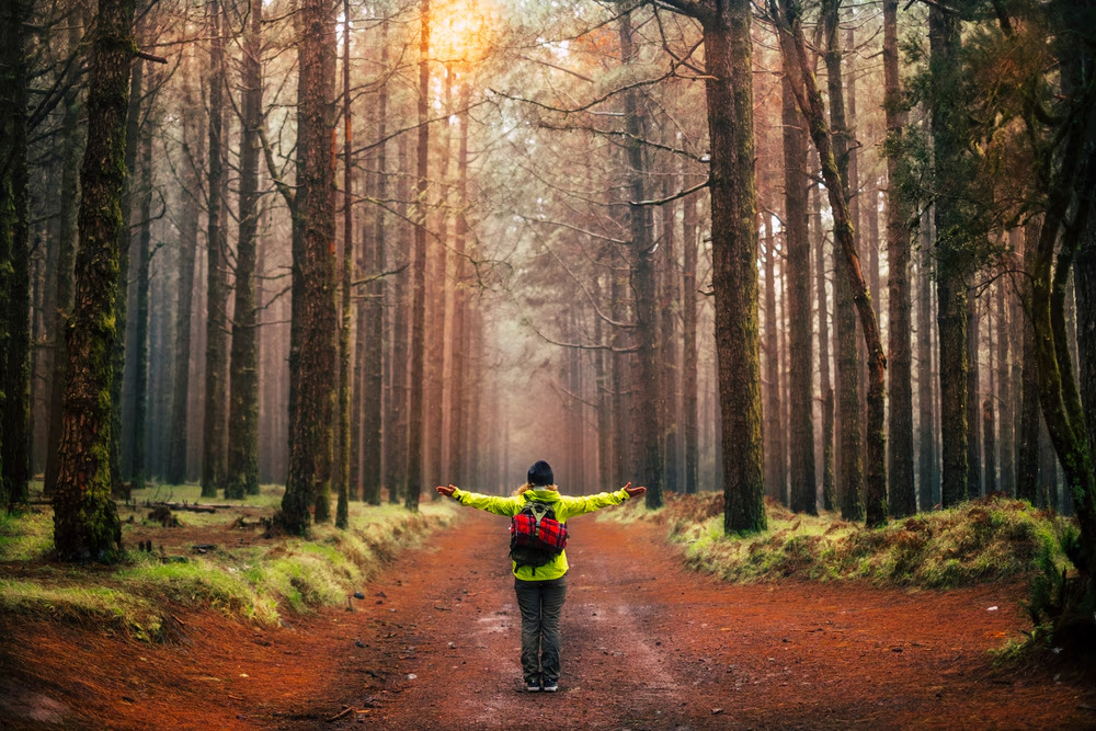 La camminata consapevole, o mindful walking, combina movimento e mindfulness per ridurre lo stress, migliorare la concentrazione e aumentare il benessere fisico e mentale.