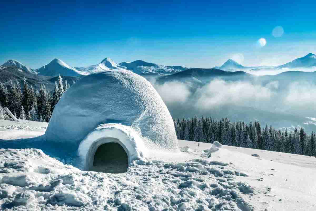 Hotel igloo