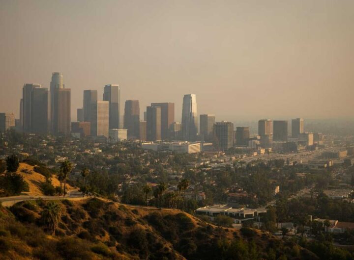 Incendi a los angeles, stephen king diserta gli oscar